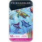 Premier® Colouring Pencils Package of 24