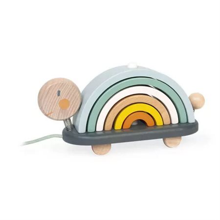 Sweet cocoon rainbow turtle