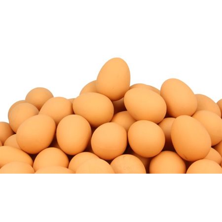Oeufs rebondissants