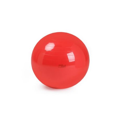 BALLON GYMNIC CLASSIQUE+ ROUGE 55CM AVEC POMPE